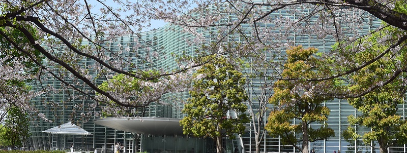写真:東京展