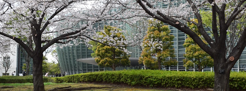 写真：東京展